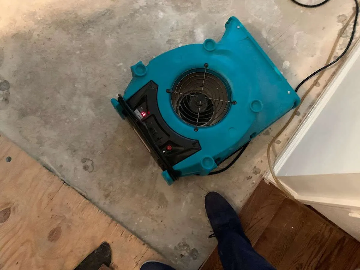 Air mover drying subfloor during Leak Detection & Repair in Indian River Estates